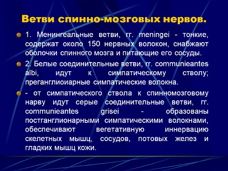 Ветви спинно-мозговых нервов. 1. Менингеальные ветви, гг. meningei - тонкие, содержат около 150 нервных